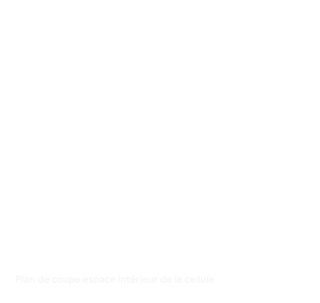Schéma de l'intérieur de la cellule - xp trucks